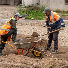 Landscaping & construction
